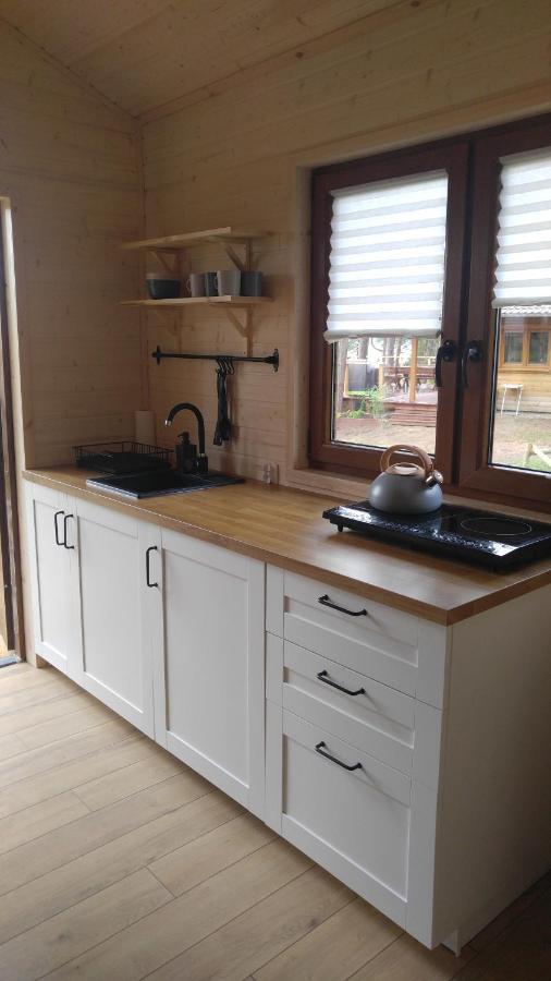 Zakatek Wdzydze Z Widokiem Na Jezioro -domek Nr 19 Holiday home Borsk