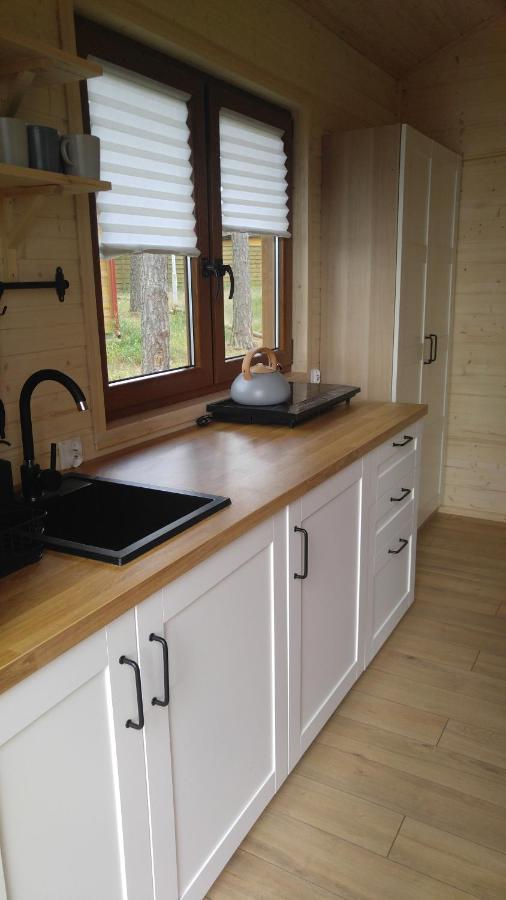 Holiday home Zakatek Wdzydze Z Widokiem Na Jezioro -domek Nr 19 Borsk