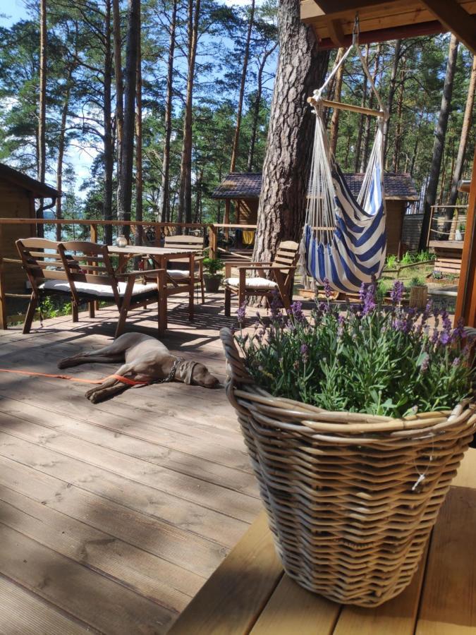 Zakatek Wdzydze Z Widokiem Na Jezioro -domek Nr 19