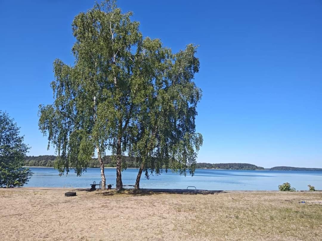Zakatek Wdzydze Z Widokiem Na Jezioro -domek Nr 19 Borsk